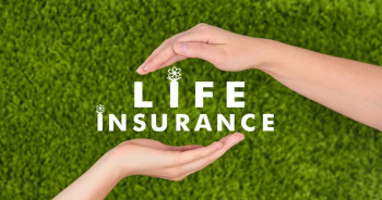 Insurance Quotes & Coverage Assistance
