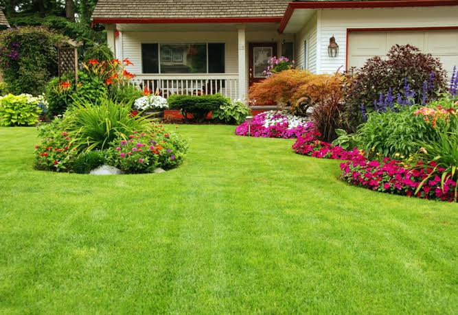 lawncare